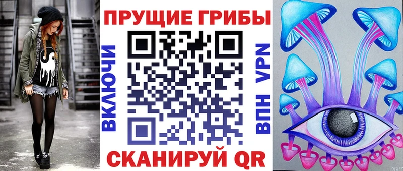 Галлюциногенные грибы MAGIC MUSHROOMS  где найти   Бабаево 