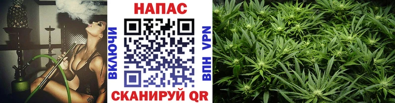 как найти наркотики  Бабаево  blacksprut ссылки  Бошки марихуана индика 